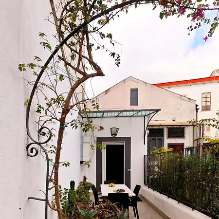 Domus Petrucci With Terrace Διαμέρισμα *